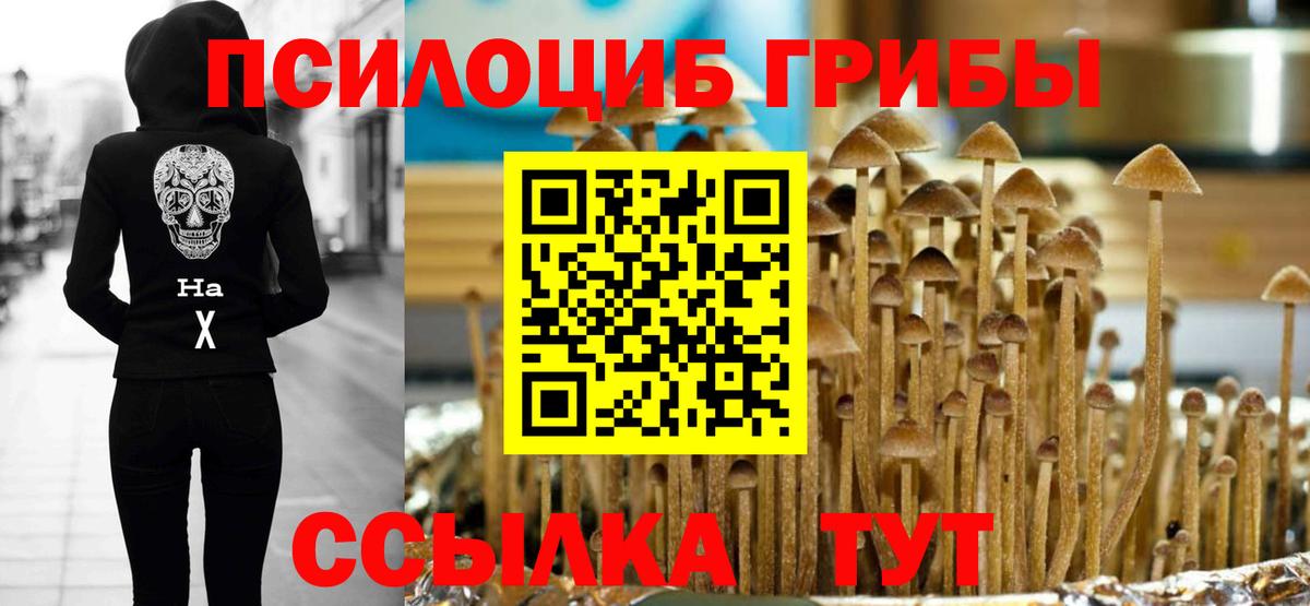 где можно купить наркотик  Галлюциногенные грибы Magic Shrooms  Вход с VPN  Заволжье 