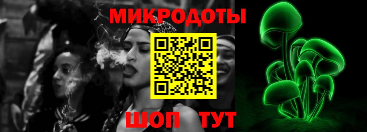 Псилоцибиновые грибы GOLDEN TEACHER Заволжье